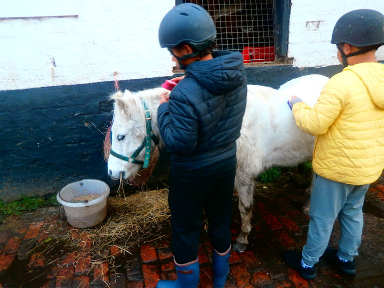 Year 6 at Sandwell Valley Riding Centre